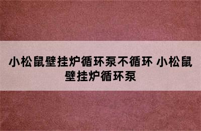 小松鼠壁挂炉循环泵不循环 小松鼠壁挂炉循环泵